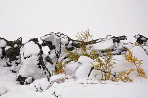 Paysage de trolls - Islande