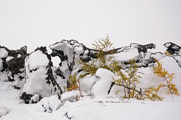 Trollenlandschap - IJsland van Barbara Brolsma