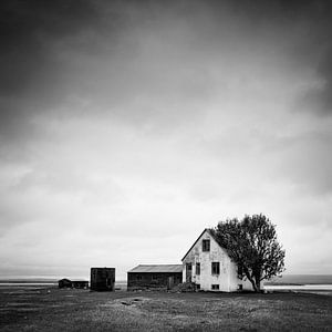 Icelandic Farm