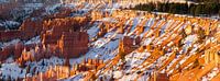 Winter zonsopkomst in Bryce Canyon N.P, Utah van Henk Meijer Photography thumbnail