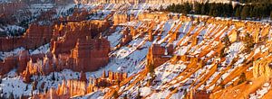 Winterpanorama des Bryce Canyon N.P., Utah