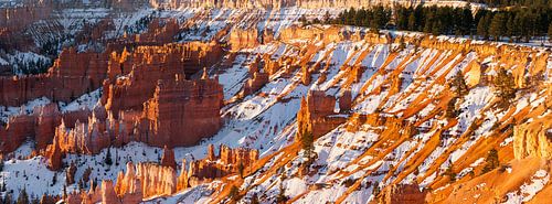 Winter panorama van Bryce Canyon N.P, Utah