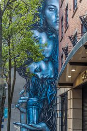 Mural in Belfast by Paul de Roos