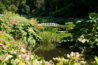 Romantischer Garten in England von Marloes van Pareren Miniaturansicht