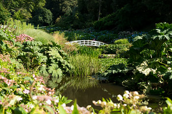Jardin romantique en Angleterre