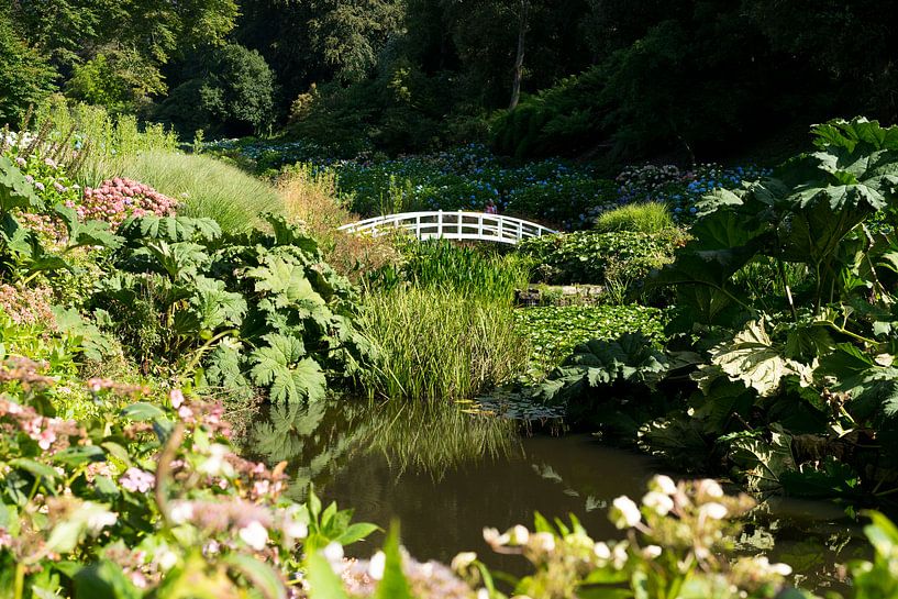 Romantische tuin in Engeland van Marloes van Pareren