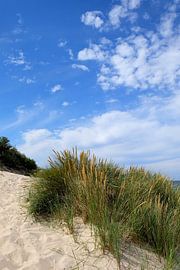 Beach by Ostsee Bilder
