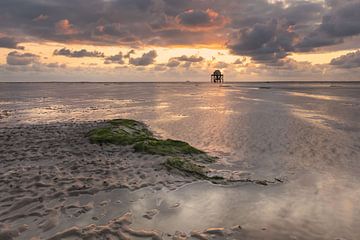 Vogelwachtpost De Kalkman op de Engelsmanplaat van KB Design & Photography (Karen Brouwer)