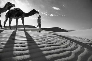Sahara-Wüste. Beduinen mit Kamel.