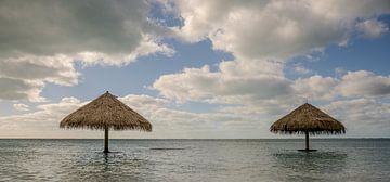 Untergehende Sonne, Strand, Paradies, goldene Stunde von Alvin de Brabander
