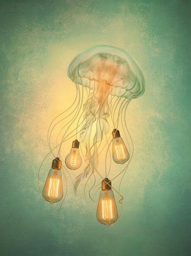 A dreamy jellyfish with glowing orbs