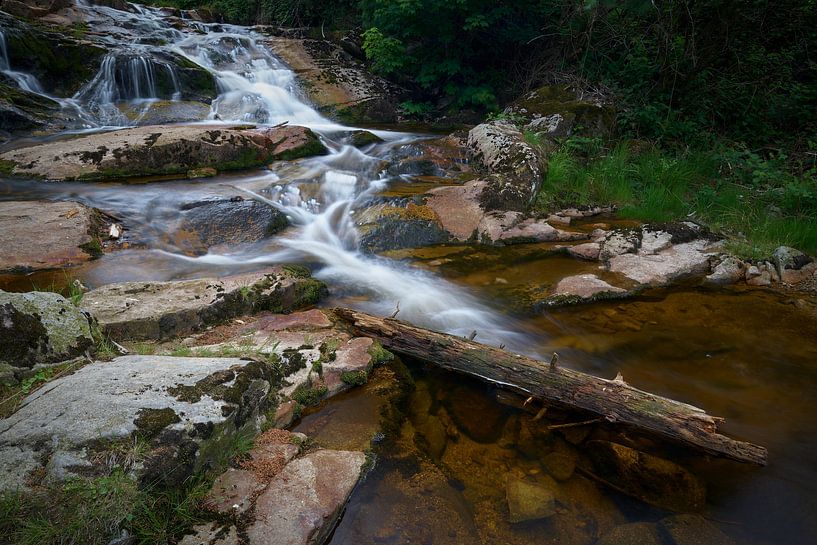 The river Ilse near Ilsenburg at the foot of the Brocken in the Harz National Park in Germany by Heiko Kueverling
