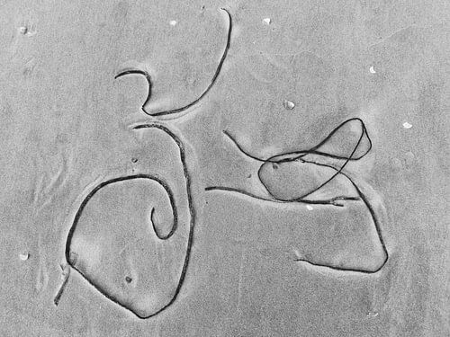 Fiets op strand_Schierblikken_RW_#6