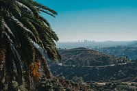Los Angeles nature