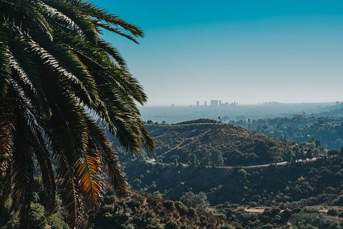 De natuur van Los Angeles