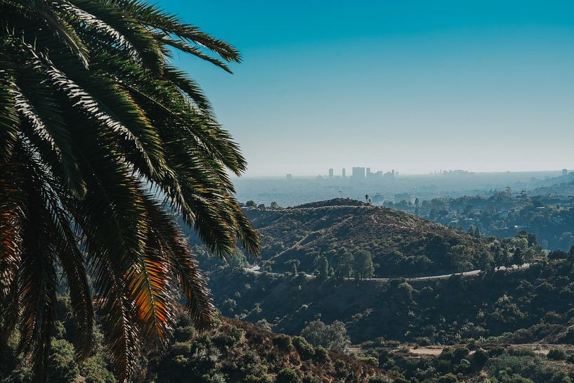 Los Angeles nature by Romana Krijger