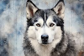 Husky van De Mooiste Kunst