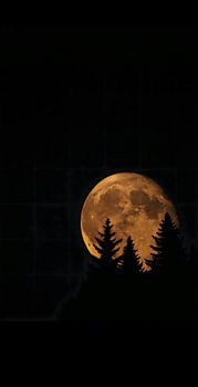 Moonlit night