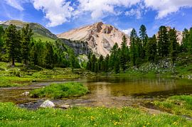 Lago Piciodel op de Fanes-weide van Sjoerd van der Wal Fotografie
