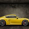 Porsche 718 Cayman GT4 RS sur Gert Hilbink