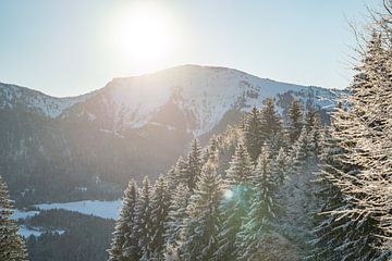 Winteruitzicht op de Hochgrat in de ochtend van Leo Schindzielorz