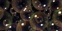 Bubbels
