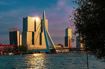 Le pont Erasmus à Rotterdam pendant l'heure pourpre