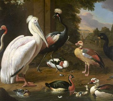 Water Birds, Melchior d'Hondecoeter