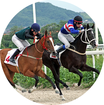 Finish paardenrace voor de prijs van Big Summer in Pyatigorsk. van Mikhail Pogosov