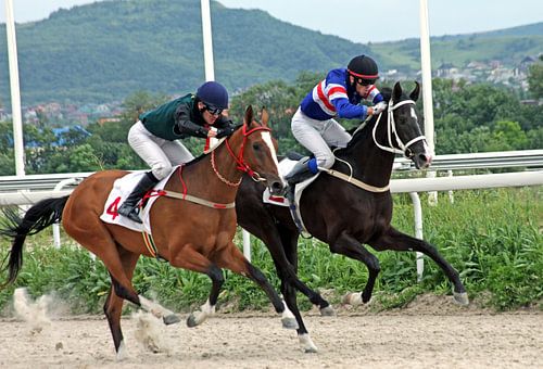 Finish horse race for the prize of Big Summer in Pyatigorsk.