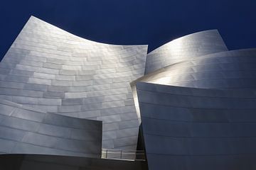Gehry van Lisa Schrijvers