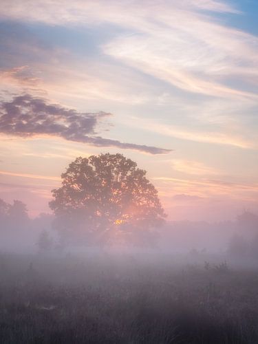 At the start of a new day #1