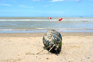 Versleten Ankerboei op het strand van Lilly Wonderz