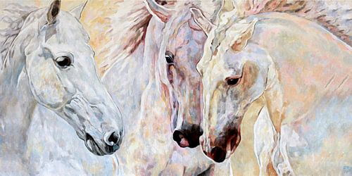 „Andalusier Pferde“ , Kunstdruck vom Originalgemälde von JOARTCOLOGNE