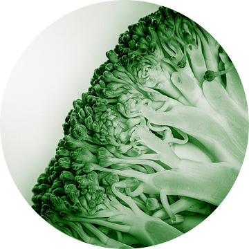 Groenteserie - Broccoli van Wicher Bos