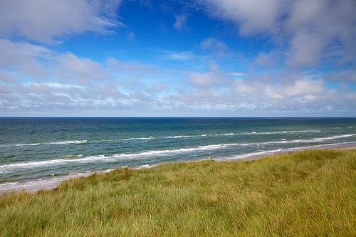 Coast