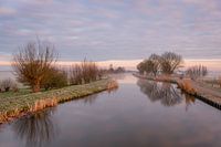 Mistig Hollands polderlandschap