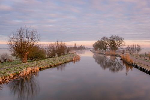 Neblige niederländische Polderlandschaft