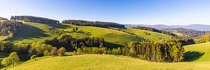 Frühling bei St. Peter im Schwarzwald von Werner Dieterich