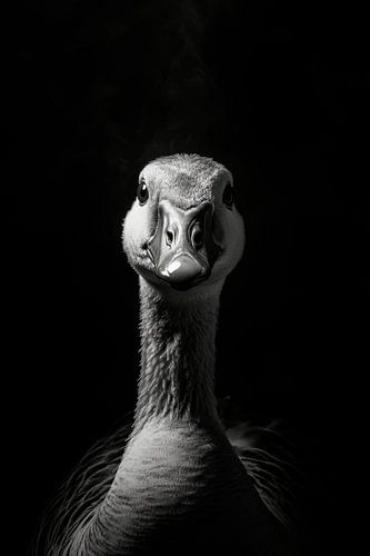 Gans