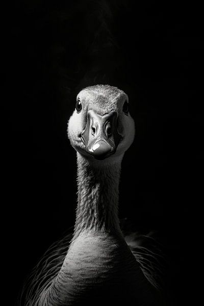Goose by Poster Art Shop