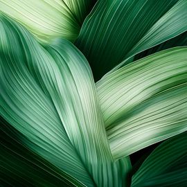 Green leaves by Poster Art Shop
