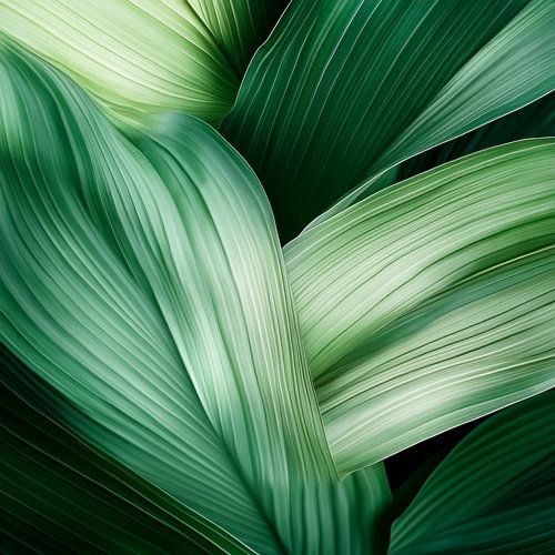 Feuilles vertes