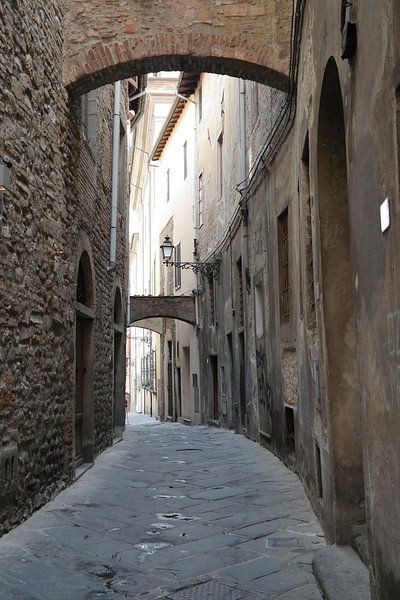 Strolling through the states of Siena, Tuscany by Saskia Nuijten