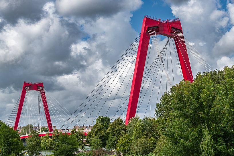 Willemsbridge Our Park by Carla van Driel-van Dillen