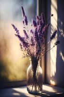 Lavendel in de ochtendzon