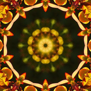 Mandala, dunklerer Stil von Steffi Hommel