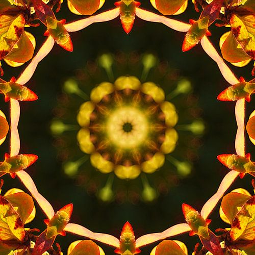 Mandala, darker style