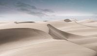 2233  Desert van Adrien Hendrickx thumbnail