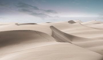 2233 Wüste von Adrien Hendrickx